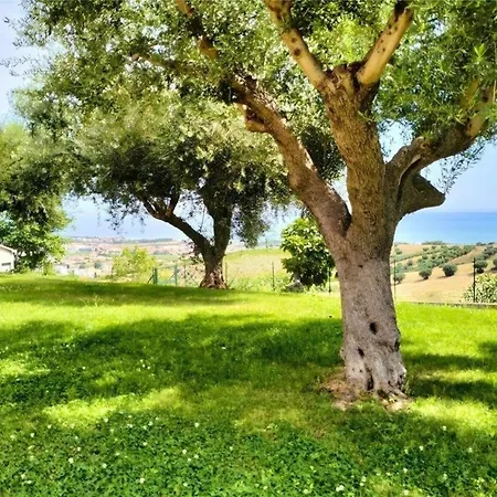 Apartamento In Roseto Degli Abruzzi Mit Grill, Gemeinsamem Pool Und Garten *